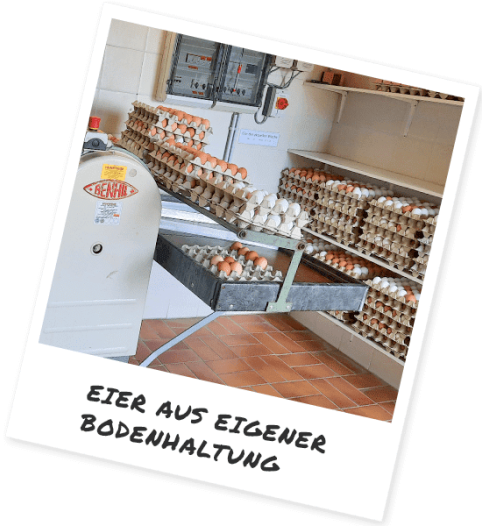 Eier aus eigener Bodenhaltung