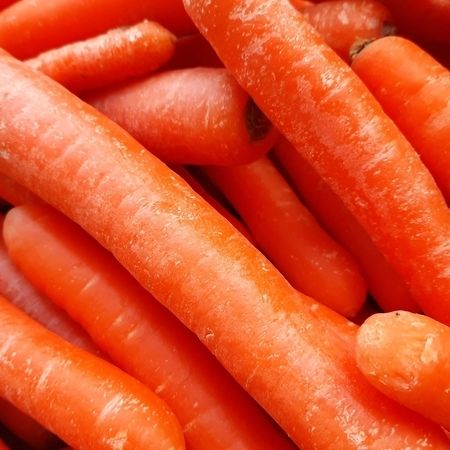 Frische Karotten von unserem Hof