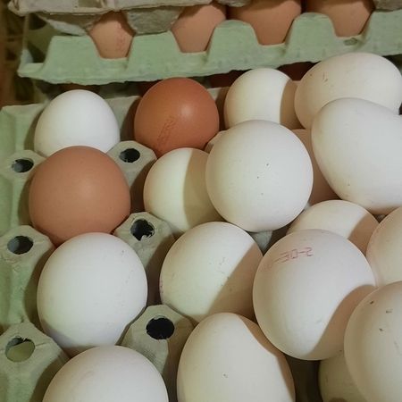 Eier in vielen Größen sortiert